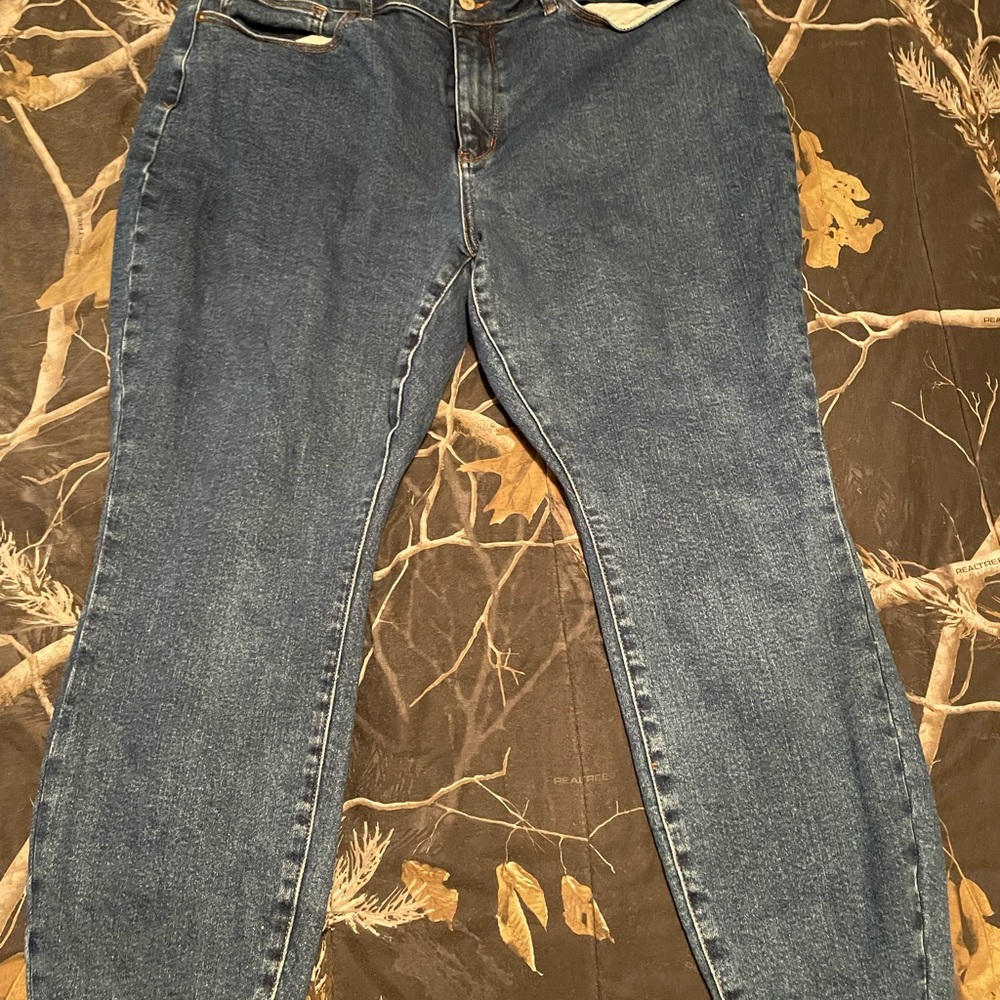 Judy blue jeans size 20
